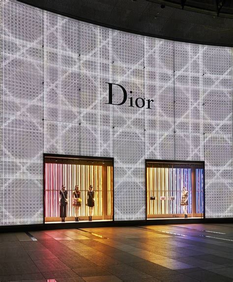 dior singapore官网
